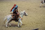 Quadrille - 00388